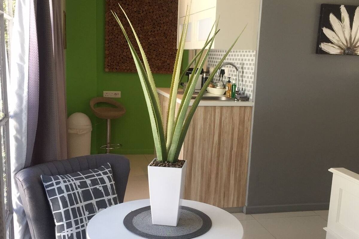 Sala de estar moderna com sofá cinza, mesa de centro branca e planta em vaso. Cozinha visível ao fundo, com parede verde e armários de madeira.
