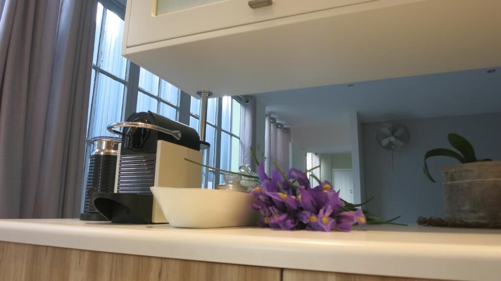 Un comptoir de cuisine avec une machine à café, un bol et une plante en pot.