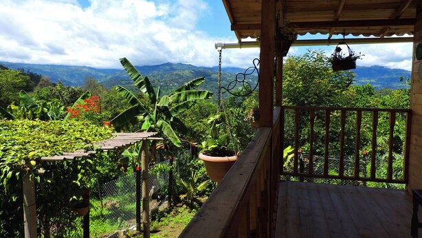 Un balcon en bois offrant une vue sur une végétation luxuriante et des montagnes au loin.