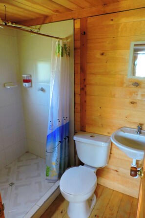 Een douche, handdoeken, zeep, toiletpapier