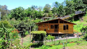 Une cabane en bois dotée d’un porche, entourée d’une végétation luxuriante et située au pied d’une colline.