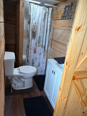 Shower, hair dryer, towels, toilet paper