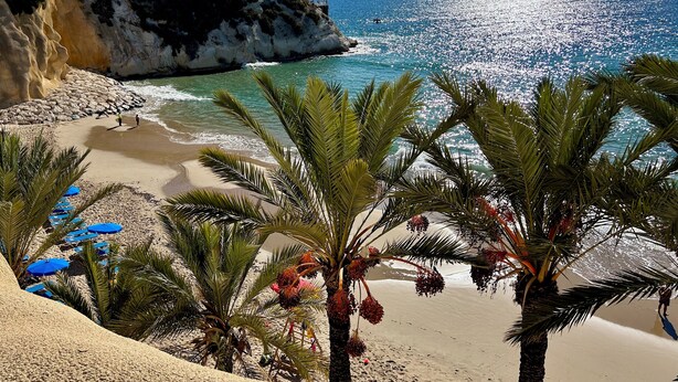 A beach with clear blue waters, a rocky cliff, and palm trees. - Casa Del Mar Apartment in the Old Town of Benidorm (Benidorm)