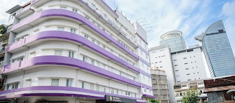 Aurea Delight Hotel