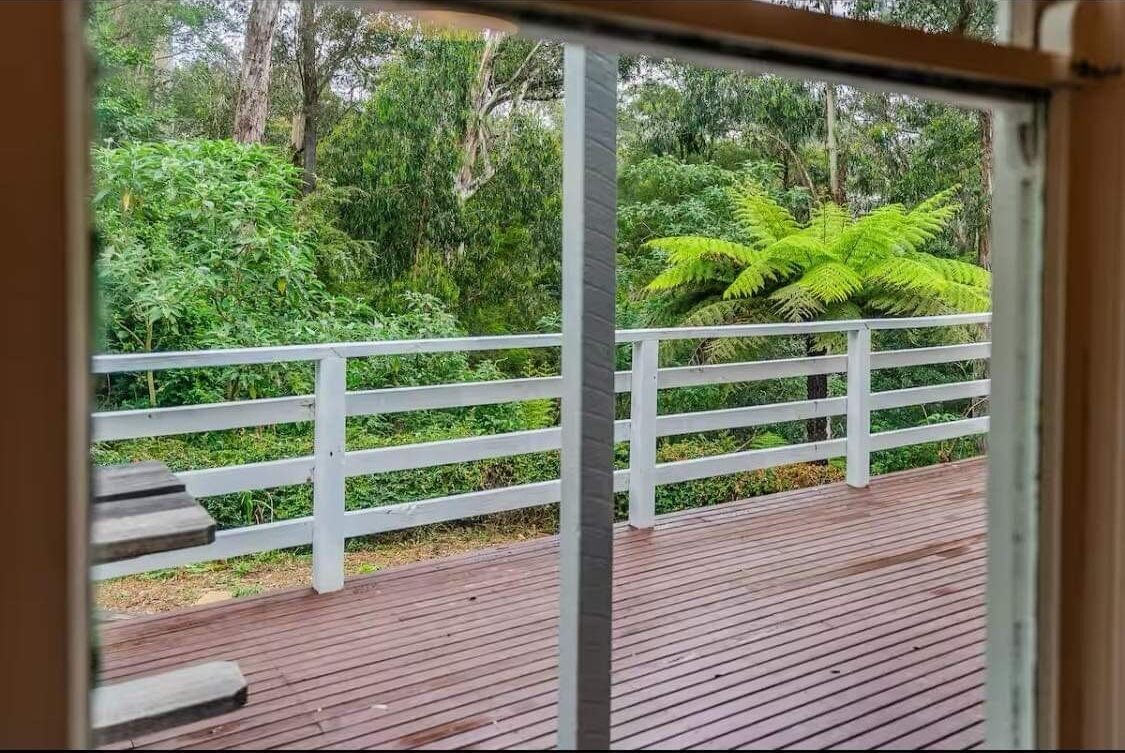 A wooden deck with white railings overlooking a lush green forest.
