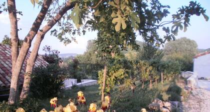 maison de maitre 17 °siÚcle, vue panoramique, propriété de 15 ha arborée, calme
