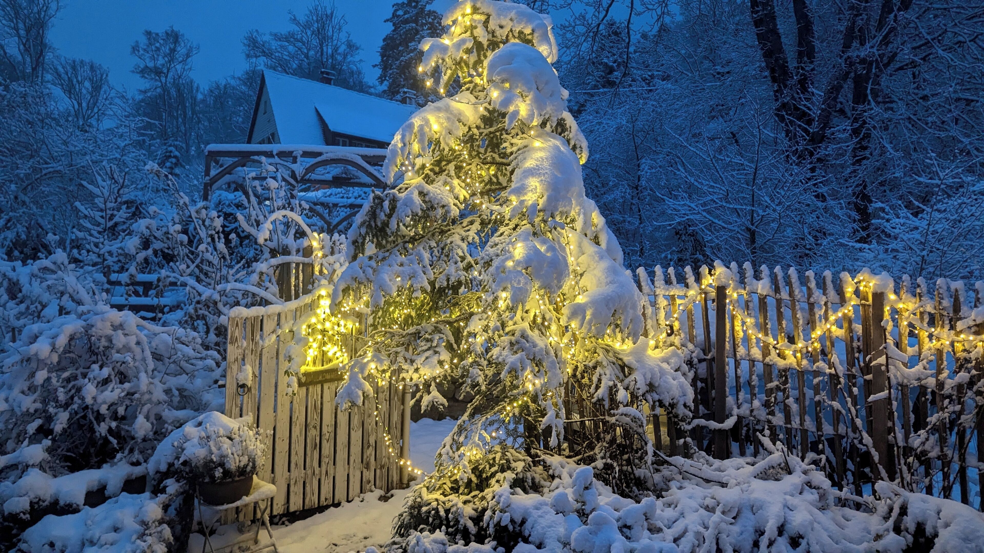 Enceinte de l’hébergement