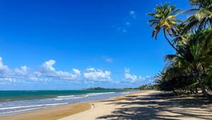 A beach with clear skies, palm trees, and ocean waves.