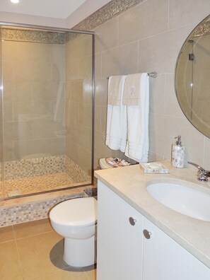 Bathroom features a glass-enclosed shower, toilet, and sink with a mirror.