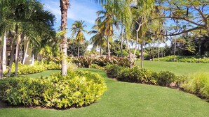 A lush garden with palm trees, well-maintained grass, and various shrubs.