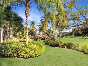 A lush garden with palm trees, well-maintained grass, and various shrubs.