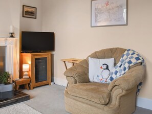 TV