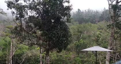 Moon House River Dreams Cerro Azul