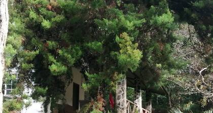 Moon House River Dreams Cerro Azul