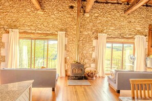 Televisión y chimenea 