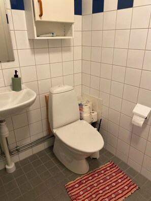 Hair dryer, towels, soap, toilet paper