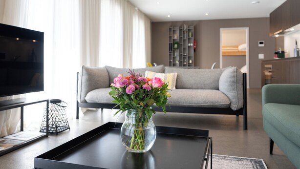 A modern living room with a sofa, a coffee table with a vase of flowers, and a television on a stand. - Modern City Apartments (Interlaken)