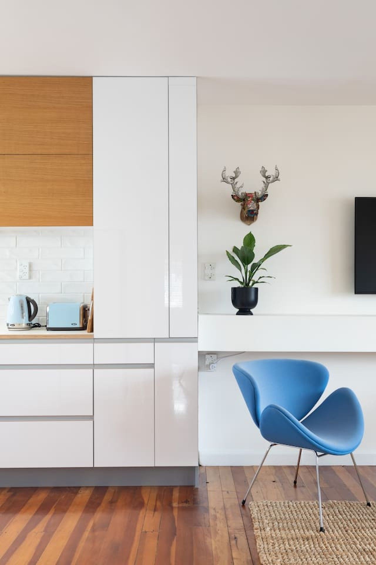A modern kitchen with white cabinets, a blue chair, a mounted deer head, and a potted plant.
