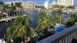 A marina with boats, palm trees, and a pool area.