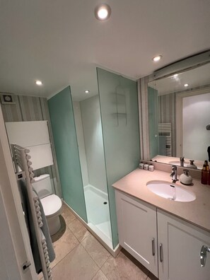 Shower, hair dryer, bidet, towels