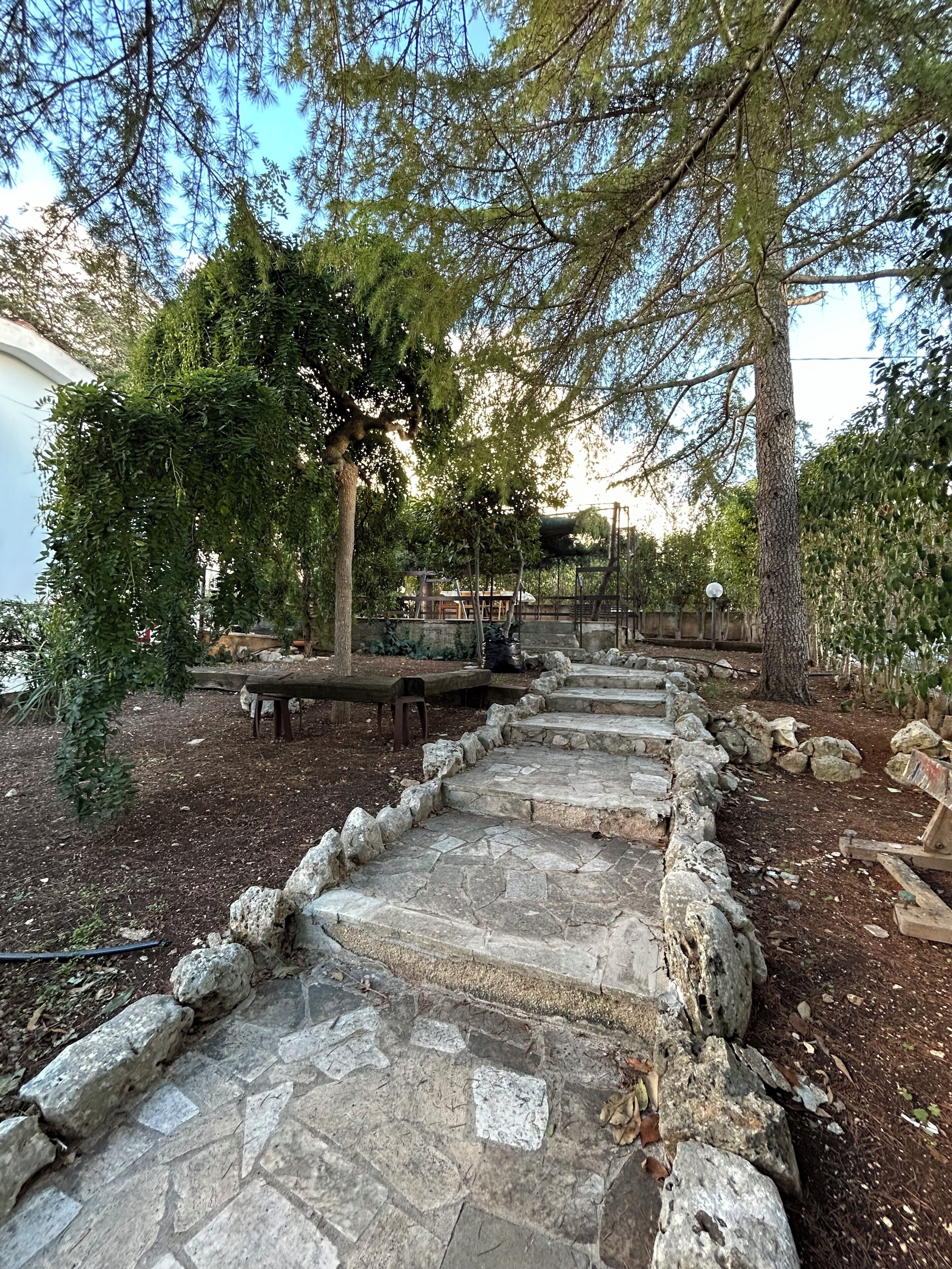 Área da propriedade