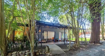 Violeta Homes Monteverde