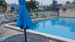 A swimming pool with lounge chairs and umbrellas, surrounded by a fence and palm trees. - Naples Florida Paradise - 2 week Min Stays (Naples)