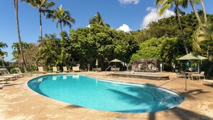 Una piscina amb gandules i ombrel·les, envoltada de palmeres i una paret de pedra.