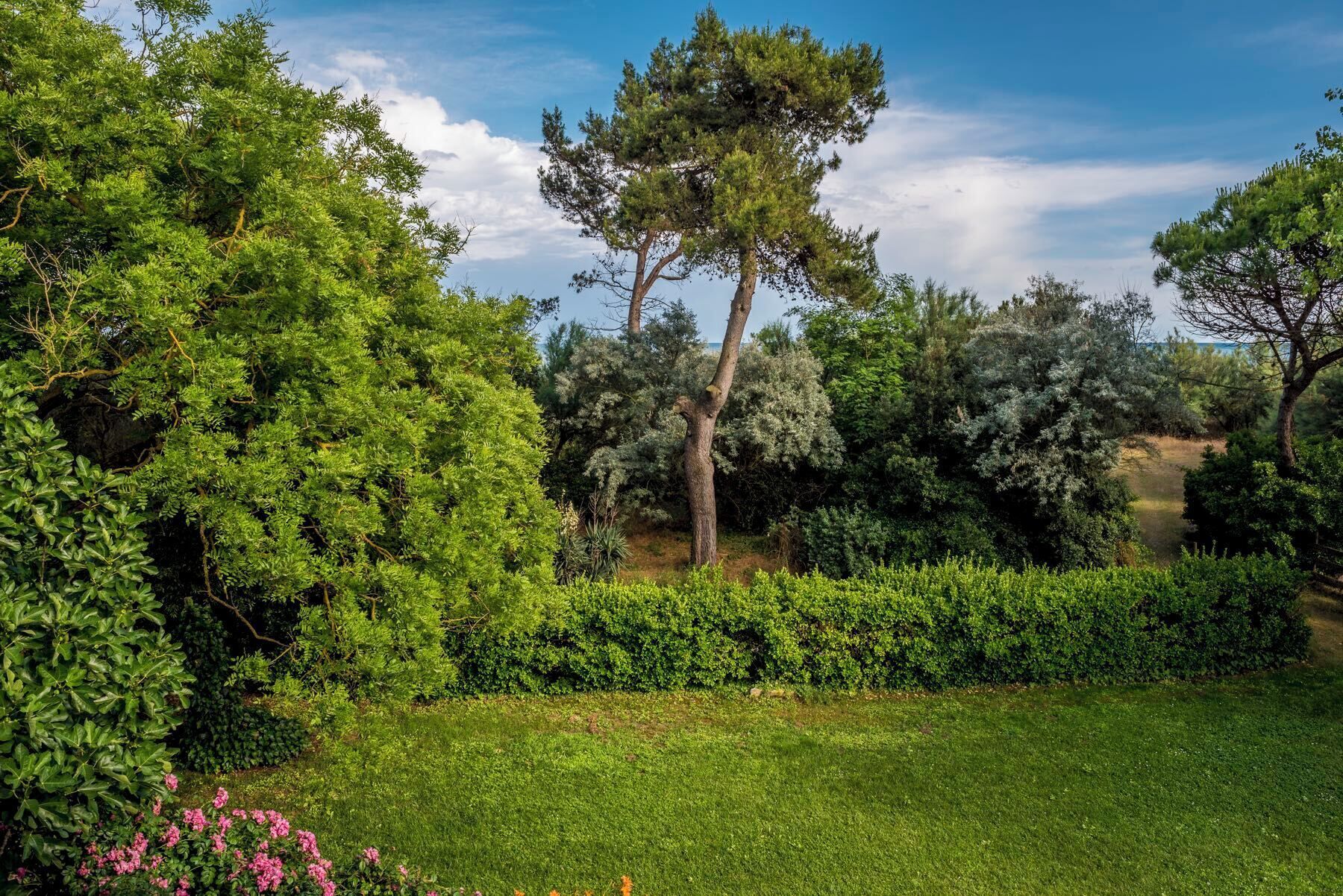 Área da propriedade