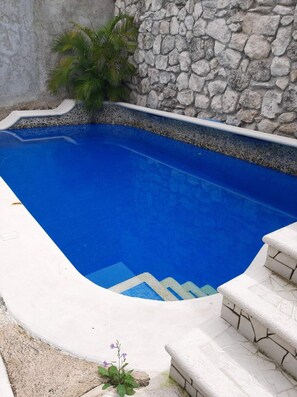 Pool - PURPLE LOTUS COZUMEL fibre optics WIFI, A/C Pool. Walking distance to town. (Cozumel)