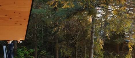 Terrain de lâhĂ©bergement