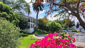 A lush garden with vibrant bougainvillea flowers, a white building with a balcony, and a calm water body in the background. - Room in House - Dream House on Lake Tequesquitengo (Jojutla)