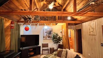 TV connectée, cheminée, livres