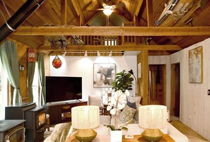 TV connectée, cheminée, livres