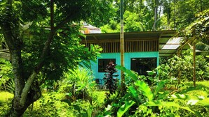 Um pequeno edifício térreo com telhado verde e uma janela, rodeado por vegetação tropical densa.