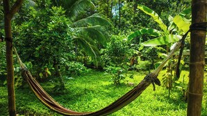 Uma rede em um jardim exuberante e verde, com bambus e folhagem densa.