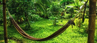 Jungle house, house in the jungle 800mt from the sea, ideal to relax and rest.