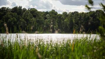 Ein See mit einem Wald im Hintergrund.
