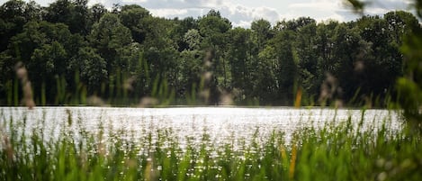 Un lago con un bosque al fondo.