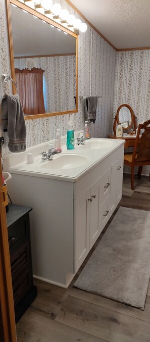 Shower, hair dryer, bidet, towels - MILLION DOLLAR VIEW !  - 8 Person Mountain Home in Fancy Gap, Virginia (Fancy Gap)