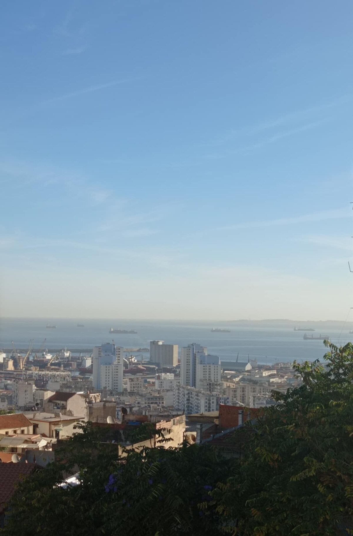 Imagen de perfil del propietario o de la propietaria