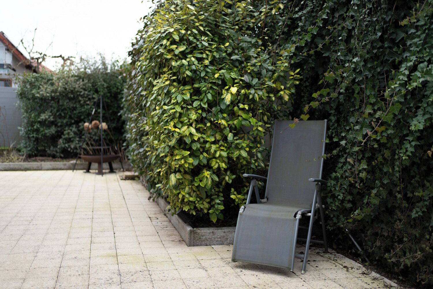 Ein gepflasterter Weg mit einem Metallstuhl und einer hohen Hecke.