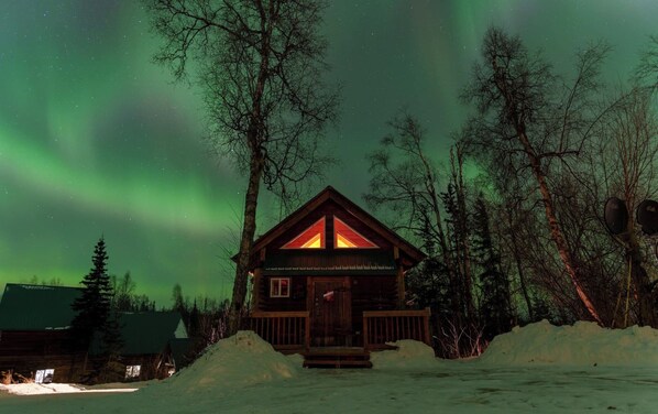 Exterior - The Loon's Nest Cabin (Trapper Creek)