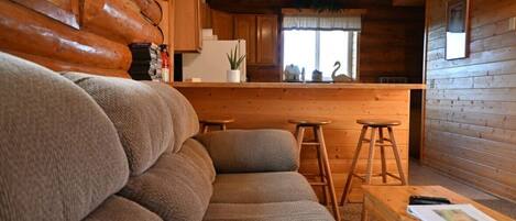 TV, DVD player, books