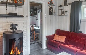 Smart-TV, Kamin
