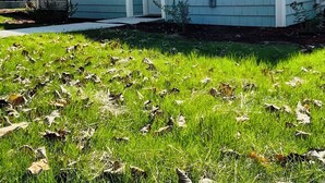 Una casa de un piso con fachada azul claro, molduras blancas y techo oscuro. Tiene un porche delantero con una pequeña luz y un buzón. El jardín es de césped con algunas hojas caídas.