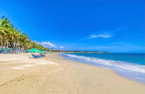 A beach with clear blue water, palm trees, and beach chairs.