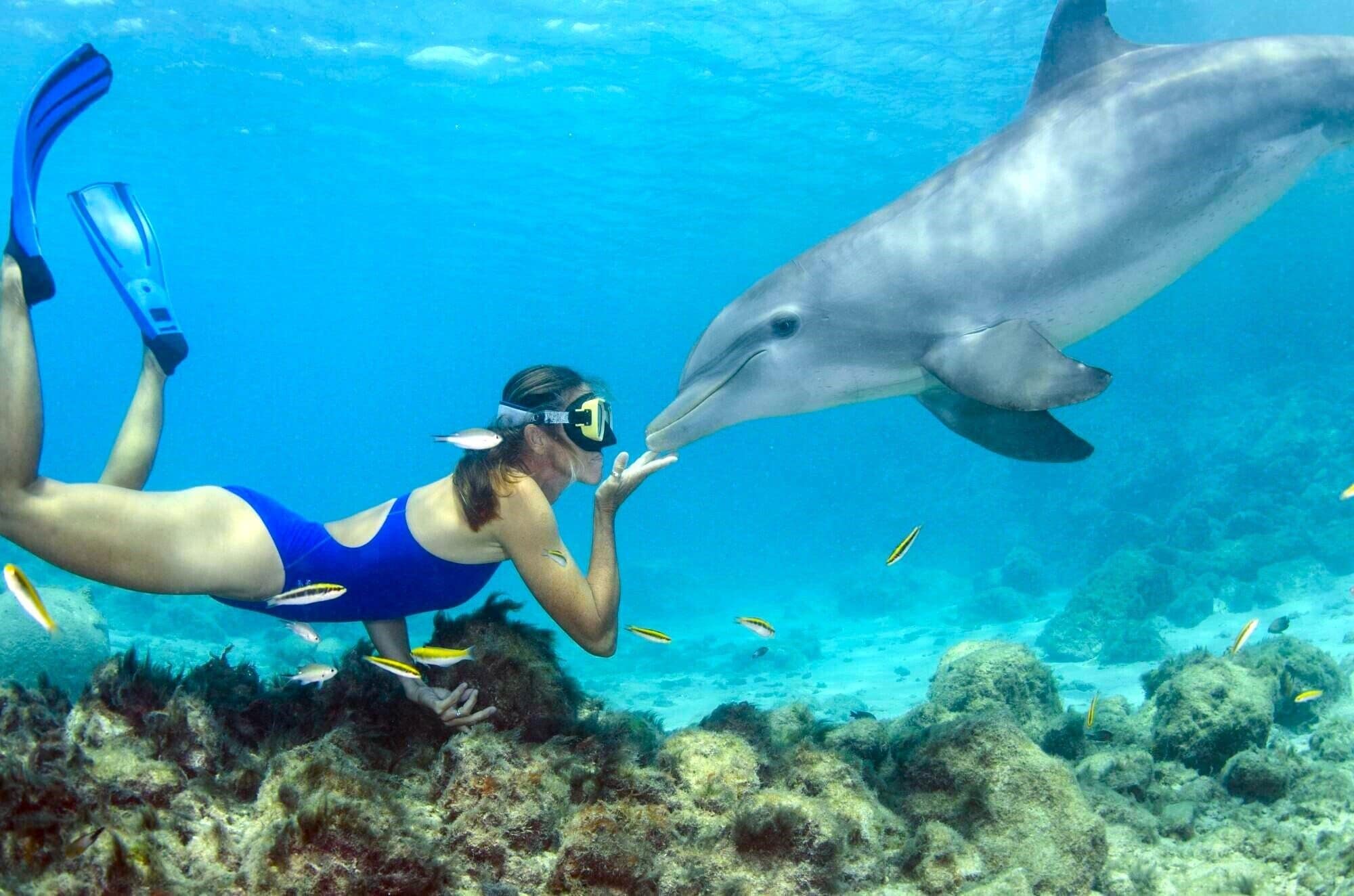 Encounters like this are why our Guests love staying at Casa Azul