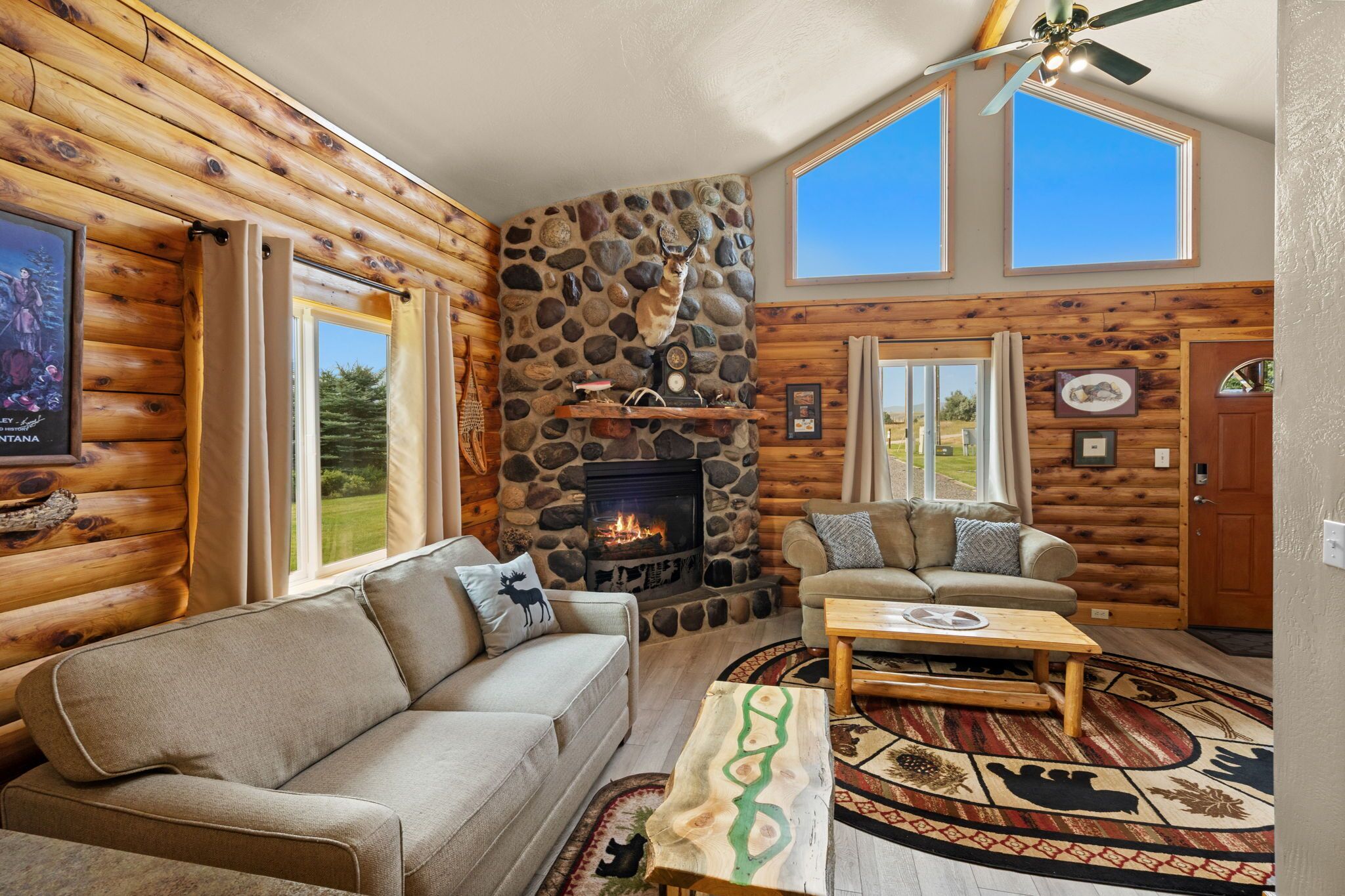 Smart TV, fireplace, books