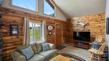 Smart TV, chimenea y libros